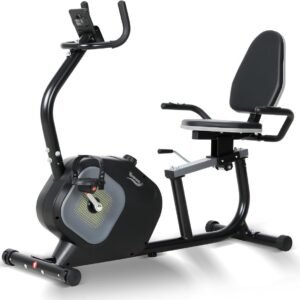 Ergometer met Rugsteun - 16 Weerstanden & Hartslagmeter - Stille Hometrainer met Transportwielen (9101049945794)