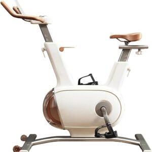 Hometrainer met Dubbel Vliegwiel van 10 kg - Stille Stationaire Fiets voor Thuis (9101022541036)