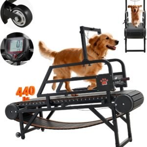 Hondenloopband - Loopband voor honden - Middelgrote/grote honden - Formaat 190 x 56 x 145 cm - Draagvermogen 200 kg - Verstelbare helling 15 cm - Transportwielen en rem (6153343612622)