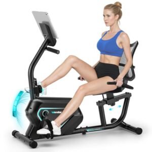 Wenoker Hometrainer met magneetrem, hartslagsensoren en lcd-display, 8 weerstandsniveaus, zitergometer met rugleuning, voor thuis, tot 160 kg (6154039586593)