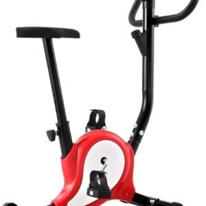 Hometrainer Bandweerstand - Indoor Fiets - Thuis Trainen - Verstelbaar Zadel - Opvouwbaar Ontwerp - Rood (9101148284220)