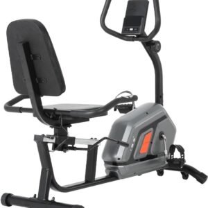 Hometrainer Ligfiets - Indoor Fiets - Cardio Training - Stille Magnetische Weerstand - 124 x 67 cm - Grijs (9101300118400)