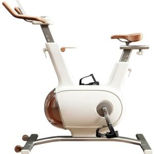 Hometrainer met Dubbel Vliegwiel van 10 kg - Stille Stationaire Fiets voor Thuis (6153821637673)