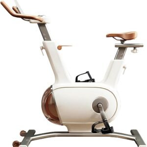 Hometrainer met Dubbel Vliegwiel van 10 kg - Stille Stationaire Fiets voor Thuis (9101142615181)