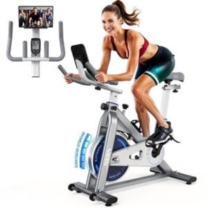 Hometrainer - Ergometer - Fitnessfiets - Indoor Bike - Stationaire Fiets - 300 Watt Weerstand - Stabiliteit Tot 150 Kg - Grijs (9113761775634)